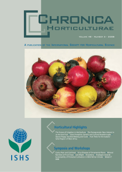 Full Text &ndash; PDF - How Plants Work