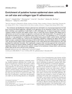 Enrichment of putative human epidermal stem cells based