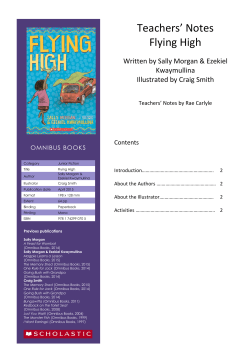Teachers` Notes Flying High