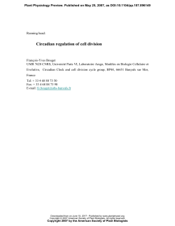 Circadian regulation of cell division