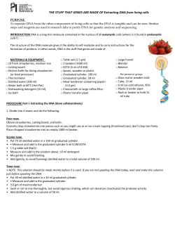 DNA Extraction Strawberry Lab
