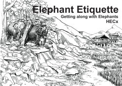 Elephant Etiquette - Zoo Outreach Organization