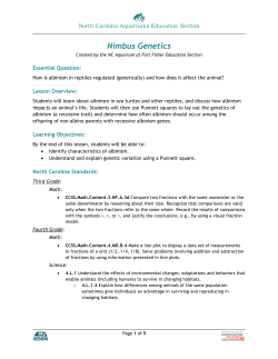 Sea Turtle Genetics - Sea Turtle Exploration