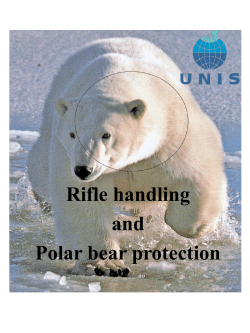 Rifle handling and polar bear protection