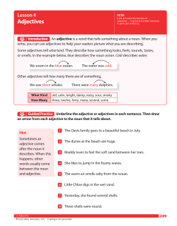 Adjectives - The Lesson Builder