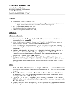 Sam Lohse, Curriculum Vitae