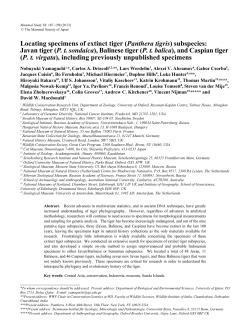 Locating specimens of extinct tiger (Panthera tigris) subspecies