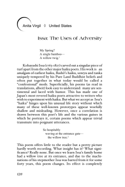 Anita Virgil United States Issa: The Uses of