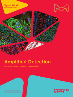 Amplified Detection - Duolink Proximity Ligation - Sigma