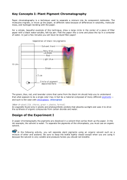 Plant Pigment Chromatography Design of the