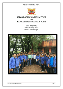 Report - Dr DY Patil Technical Campus