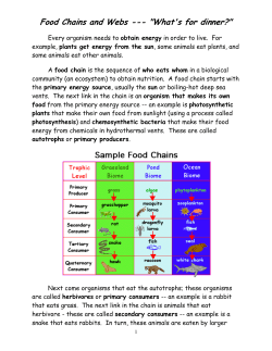 Food Chains and Webs