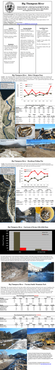 Big Thompson River Fish Survey and Management Data