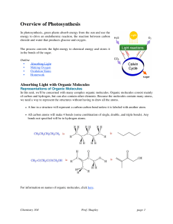 Overview of Photosynthesis