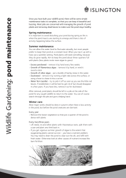 Pond Maintenance