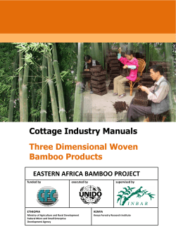 Cottage Industry Manuals Three Dimensional Woven Bamboo Products