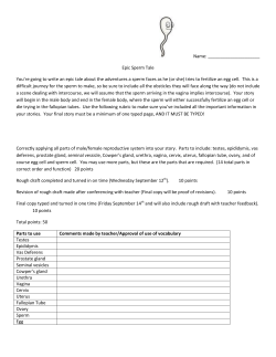 Epic Sperm Tale Rubric - Madison County Schools
