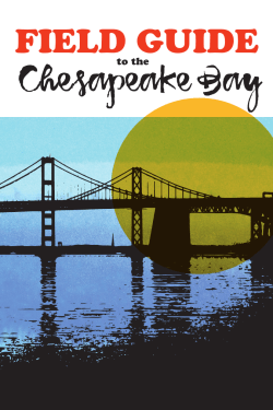 limerick field guide - Corrie Francis Parks