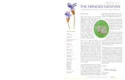 THE FRINGED GENTIAN&trade; - Friends of the Wildflower Garden