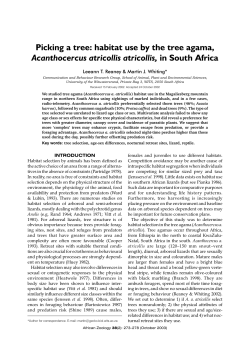 Picking a tree: habitat use by the tree agama