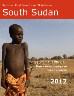 Report on Food Security and Nutrition in South Sudan