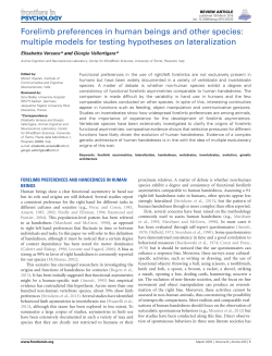 Forelimb preferences in human beings and other