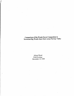 Comparison of Big Woods Forest Composition in