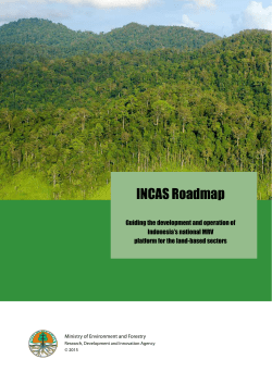 INCAS Roadmap