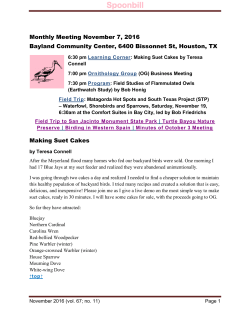Spoonbill - Ornithology Group (OG)