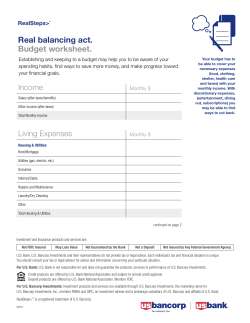 Budget worksheet