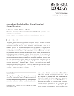 Aerobic Denitrifiers Isolated from Diverse Natural and Managed