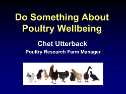 Chet Utterback - The Poultry Federation
