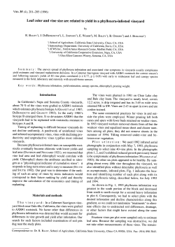Leaf color and vine size are related to yield in a phylloxera