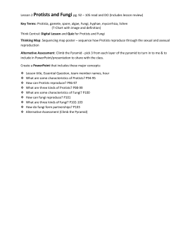 Lesson 2 Protists and Fungi pg. 92 &ndash; 105 read and DO (Includes