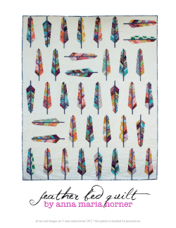 Feather Bed Quilts - Anna Maria Horner