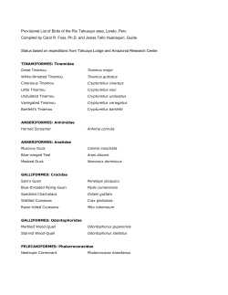 bird list - Thinkjungle.com