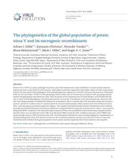 The phylogenetics of the global population of
