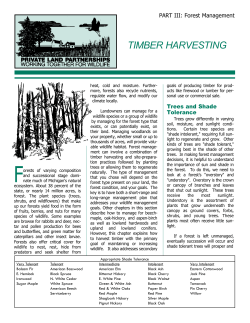Timber Harvesting