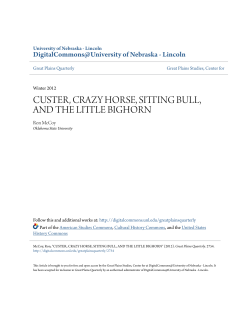 custer, crazy horse, sitting bull, and the little bighorn