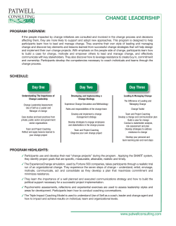 PPT Template - Patwell Consulting