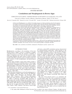 Cytoskeleton and Morphogenesis in Brown Algae