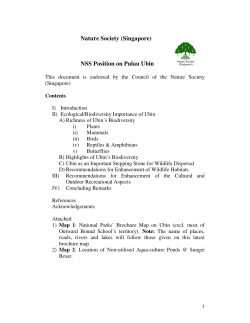 Position Paper on Pulau Ubin