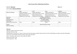 Cub Scout Den Meeting Outline