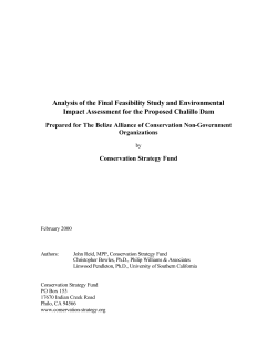 Analysis of the Final Feasibility Study and - Eco