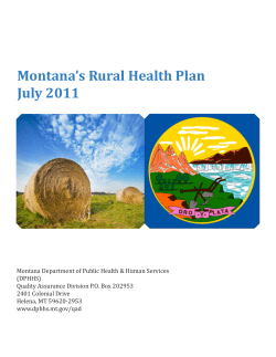 Montana`s Rural Health Plan - Montana Performance Improvement