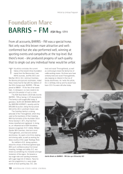 Foundation Mare BARRIS