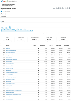 Google Analytics PDF