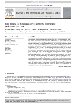 Size-dependent heterogeneity benefits the mechanical