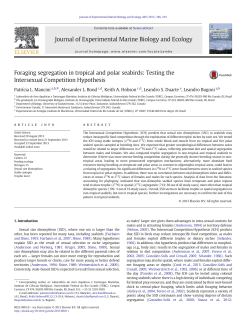Foraging segregation in tropical and polar seabirds: Testing the