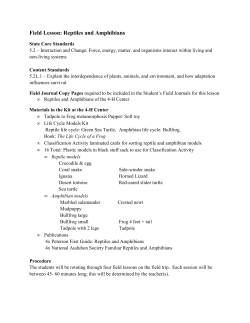 Field Lesson: Reptiles and Amphibians - Oregon 4